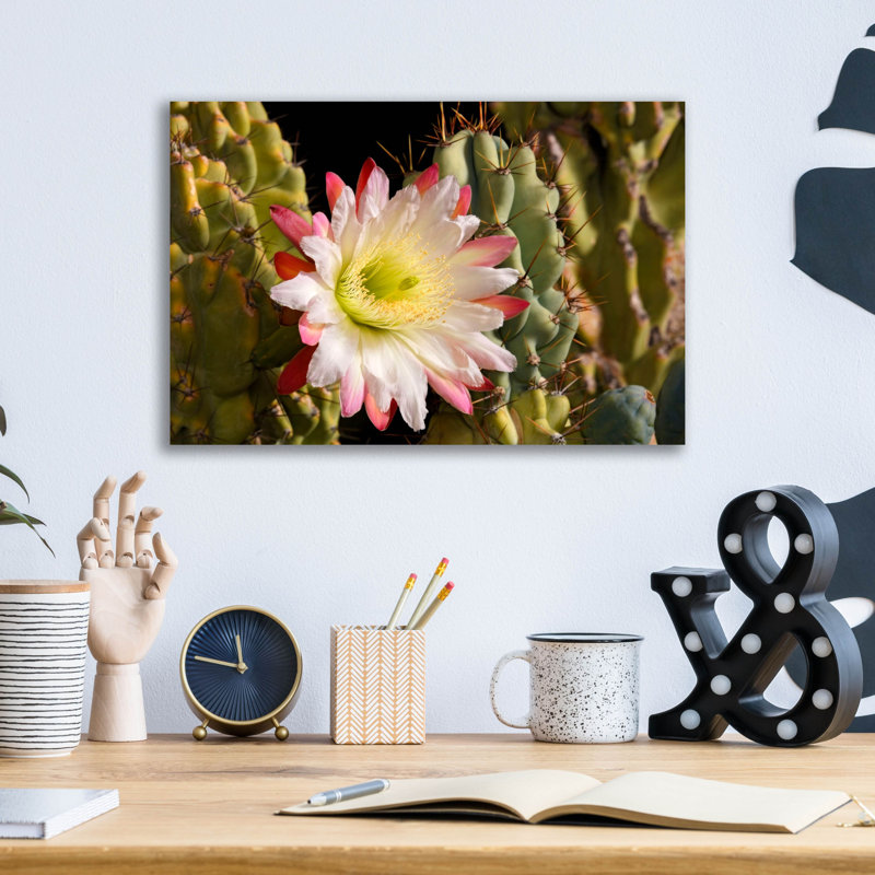 «Night Cactus Bloom Az 8663» par Mike Jones, art mural en verre acrylique, 16 po x 12 po, 16 po x 12 po