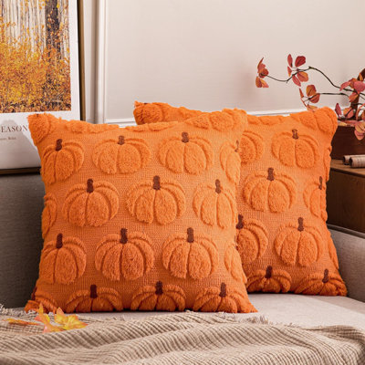 Housses de coussin citrouille d'automne, décoration automnale, tige orange et marron, 50 x 50 cm, motif récolte d'automne, lot de 2, douce fourrure synthétique pelucheuse, style ferme, Halloween, porche, carrosse, chambre