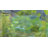 Hobby Greenhouse-119307526-119307529