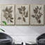 3 pièces Arbor-97758247-97758249