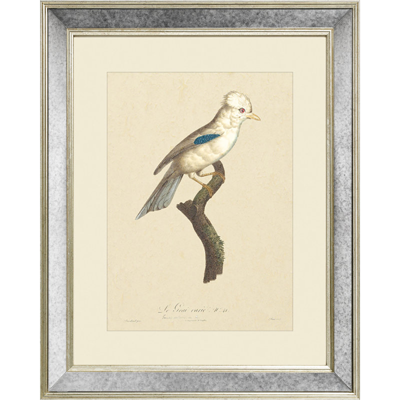 Tropical Bird I - Single Picture Frame Print on Canvas