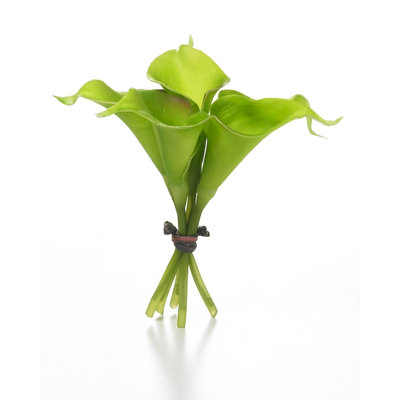 Jet de lilies calla