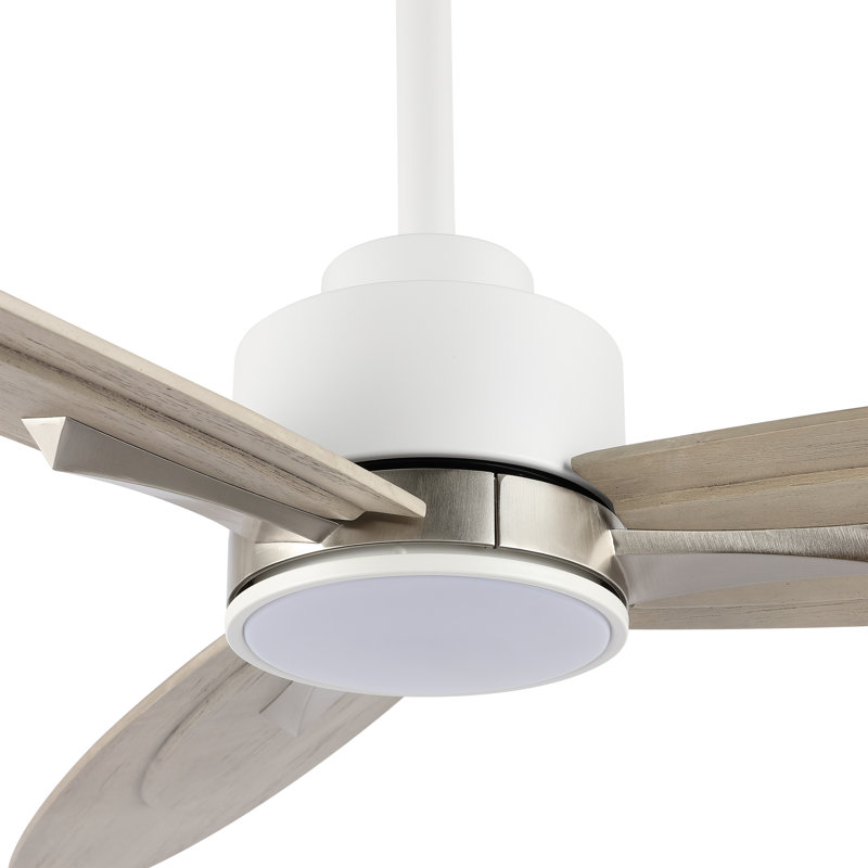Kingsteignt 60'' Ceiling Fan with LED Lights, Gray