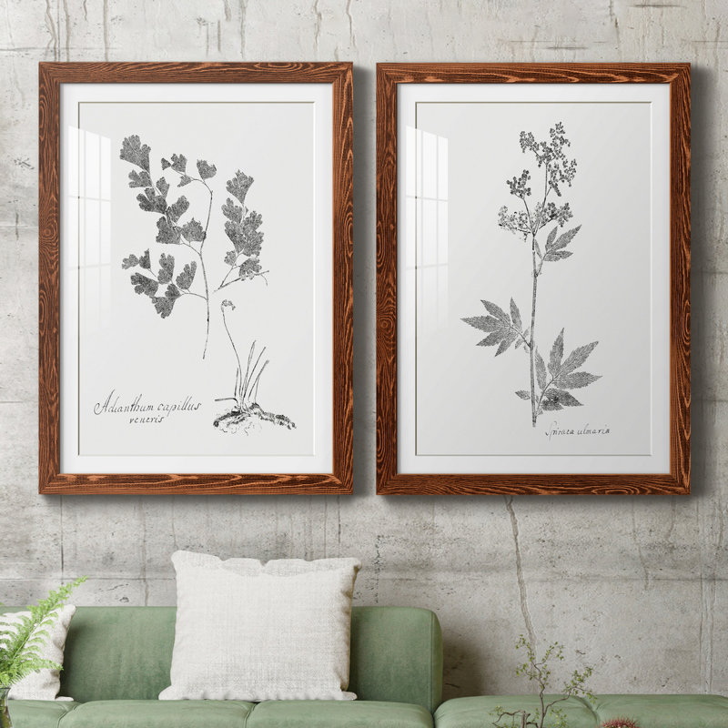 Botanical Imprint I - Ensemble de 2 peintures encadrées, Papier avec cadre érable, H 43,5 po x l 31,5 po x P 1 po