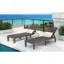 Ensemble de 2 chaises longues d'extérieur en résine avec dossier réglable (ensemble de 2) pour terrasse, bord de piscine ou plage, brun foncé, 2 pièces