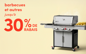 barbecues et autres en solde