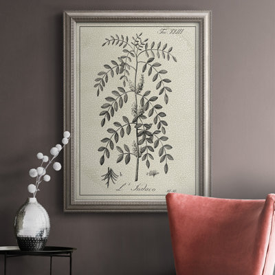 Antique Botanical IX - Reproduction d'art sur toile encadrée