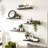 Riek 5 Piece Floating Shelf-847670758-826149873