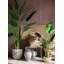 Palmier en pot artificiel-536360813