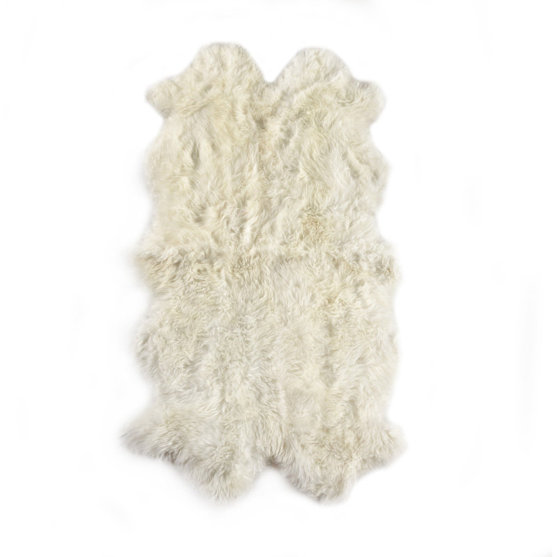 Lalo Sheepskin Area Rug in Cream, Novelty 3'3" x 6'
