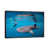 Black Floater Framed selected