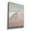 «Shorebirds On The Sand 2» par Danhui Nai, art mural sur toile-421087584