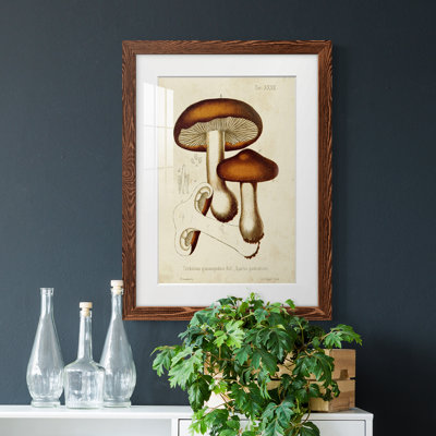 Champignon Variétés VI encadré mat - prêt à accrocher
