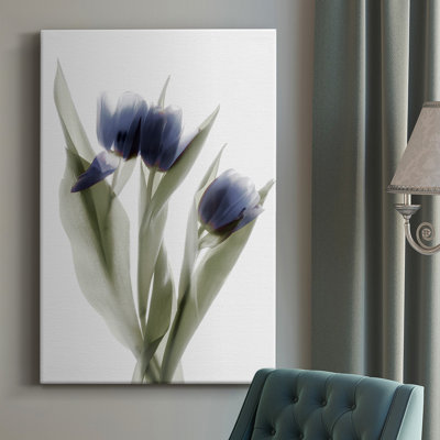 Xray tulipe, impression sur toile tendue