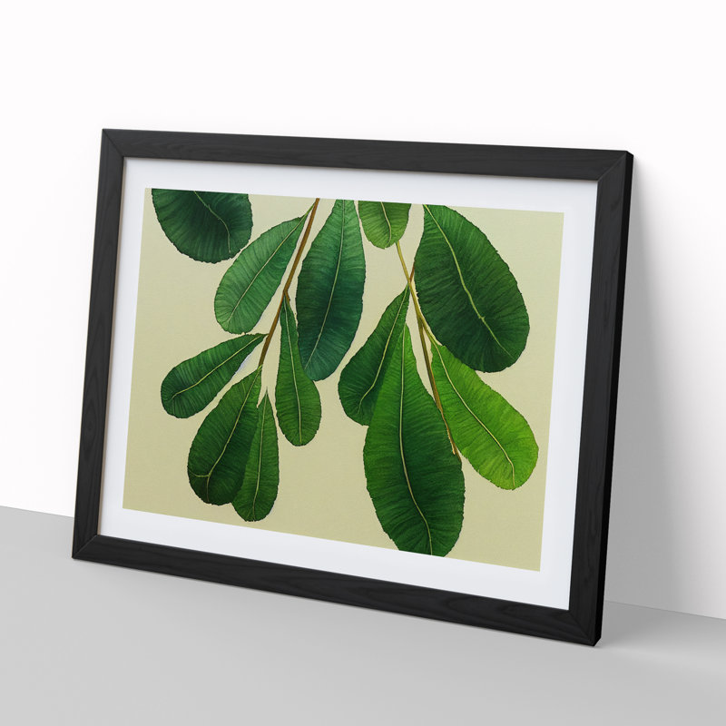 XH1022-7166X Pretty Leaves Vol.4 - Single Picture Frame Print, Black Framed, 46cm H x 64cm W x 2cm D