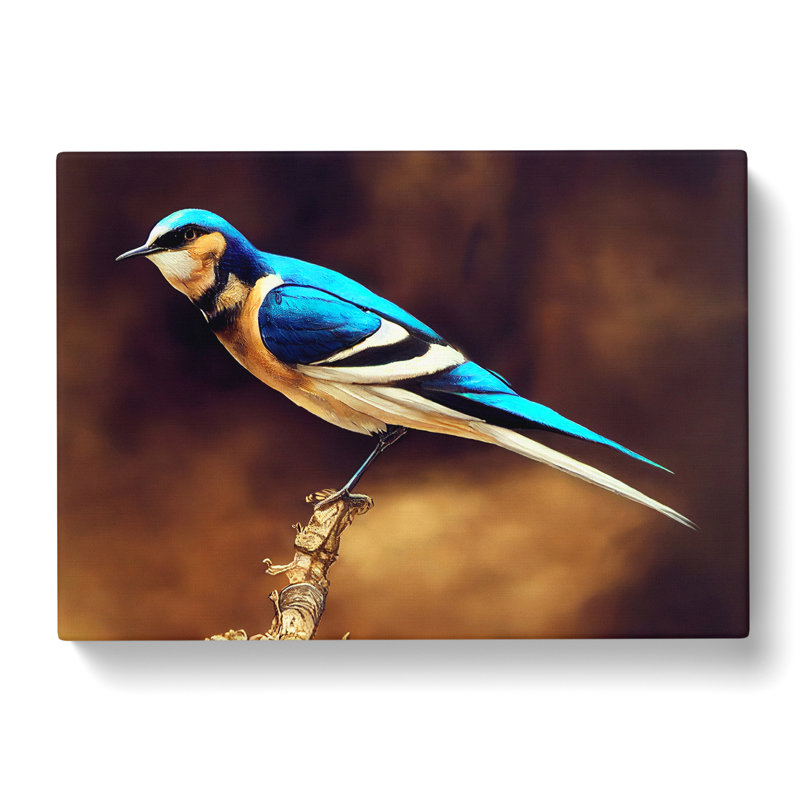Stupendous Swallow Bird - Wrapped Canvas, 40cm H x 60cm W x 3cm D