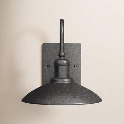 Seeded Glass Outdoor Barn Light