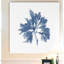 Marine Seaweed I - cadre photo, reproduction d'art sur toile-2047606873-2050087313