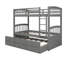 Bunk Bed With Ladder-965261504