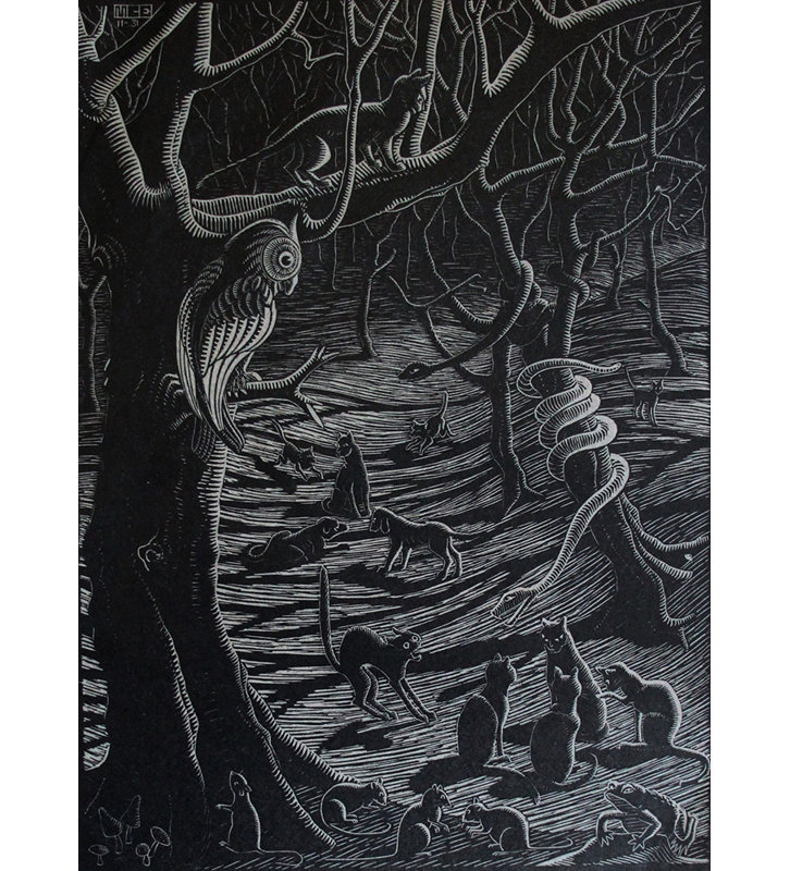 Scholastica by M.C.Escher Gallery Wrapped Canvas, 40" H x 28" W