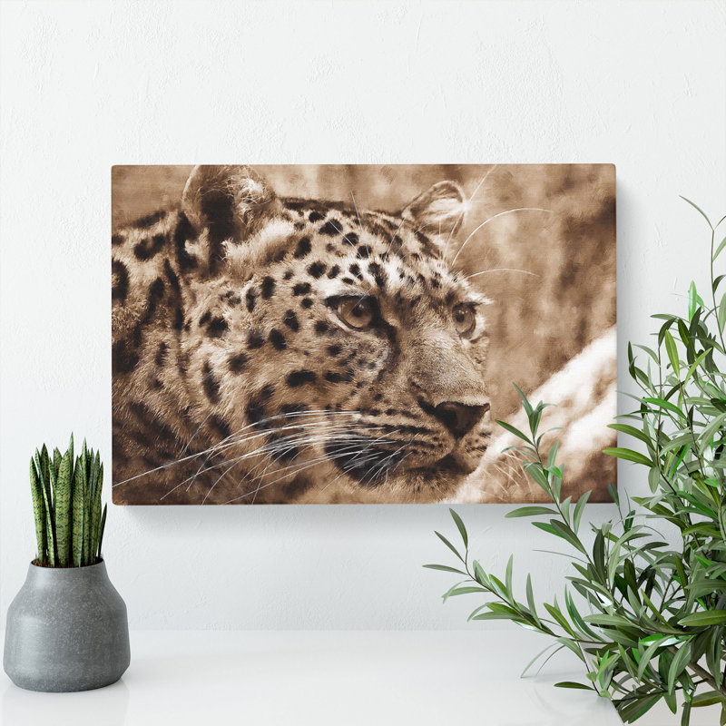Leopard Vol.3 - Wrapped Canvas, 50cm H x 76cm W x 3cm D