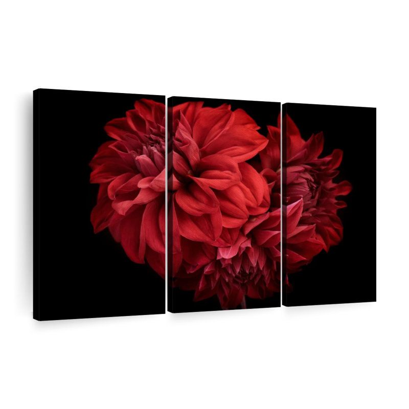 «Blooming Red Dahlia», 3 pièces, H 48 po x l 74 po x P 1,25 po