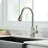 FLG Pull Down Touchless Kitchen Faucet