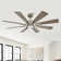 Lisa 60'' Ceiling Fan with LED Lights