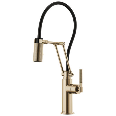 Litze® Articulating Faucet with Knurled Handle