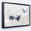 «Baby Green Turtles on Sand», reproduction de photo sur toile tendue encadrée-26689883