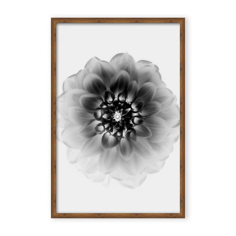 X-Ray Print by Alex Zhao, 48" H x 32" W x 1.125" D, Black, Framed Matted Print