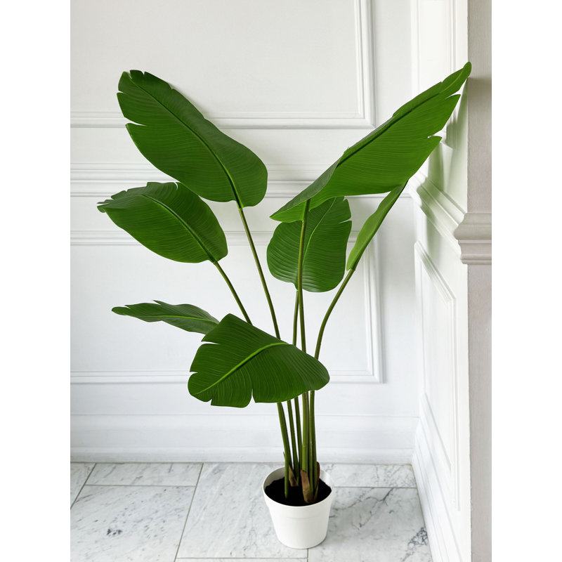 55" Paradise Palm Tree