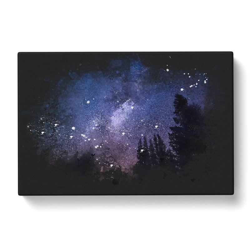 Forest At Night - Wrapped Canvas, 60cm H x 91cm W x 3cm D