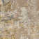 Hagenah Abstract Indoor Rug