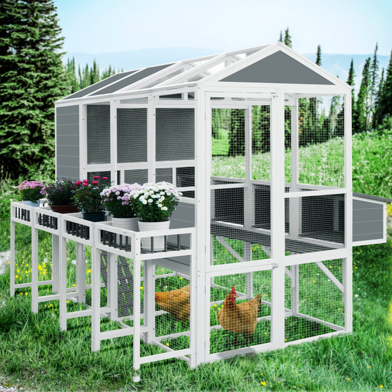 Poulailler Florah pour 8 poulets maximum