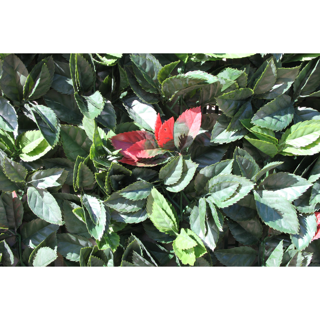 Annalicia 100cm Artificial Hedge