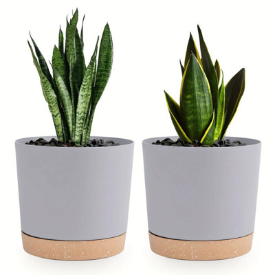 Paquet de 2 jardinières rondes en plastique à fond amovible de 6,5 po pour l'intérieur et l'extérieur
