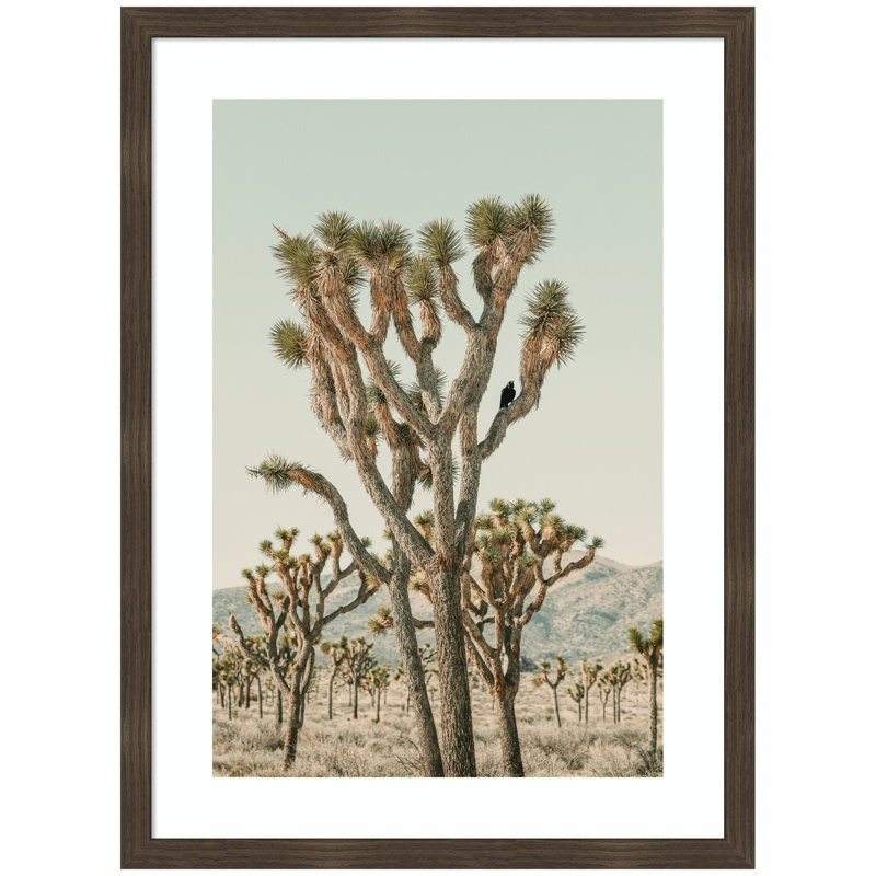 «Joshua Tree with Crow» par Alicia Bock, impression murale encadrée