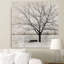 " Lonely Tree " by Katrina Craven-1752145941