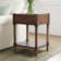Theresa End Table with Storage