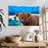 Brampt Shaggy Cow-107860844