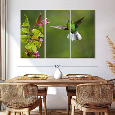 Brampt Costa Rican Hummingbird