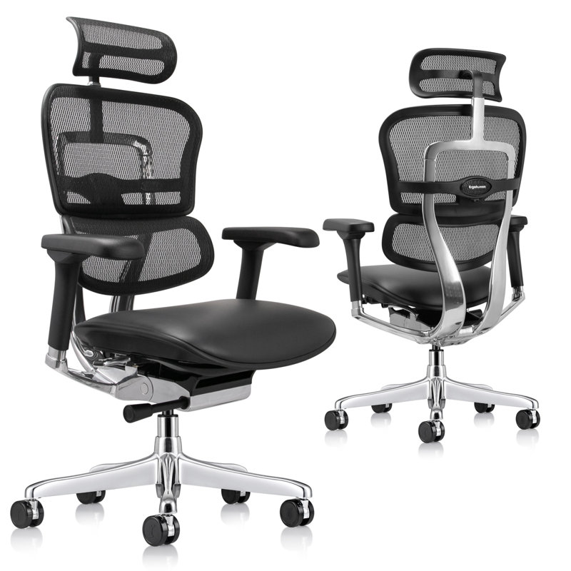 Eurotech Seating Ergohuman Executive Chair with Headrest