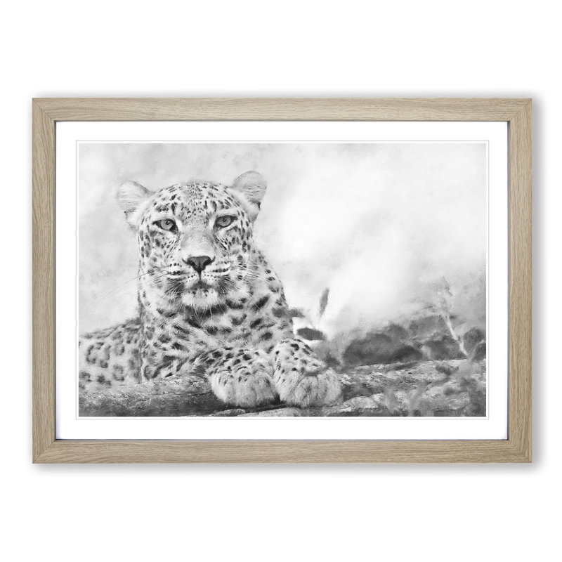 Leopard Resting - Picture Frame Photograph Print, 45cm H x 63cm W x 2cm D, Oak Framed