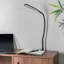 Ceona Clip On Lamp-1873080709