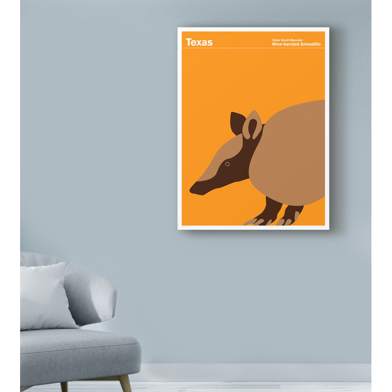 « texas armadillo », reproduction d’impression sur toile tendue, H 47 po x l 35 po x P 2 po