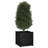 Lisbon Wood Pot Planter-92617550-92617552