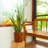 7.8 In. Dark Wood Plastic Self-Watering Planter Pot