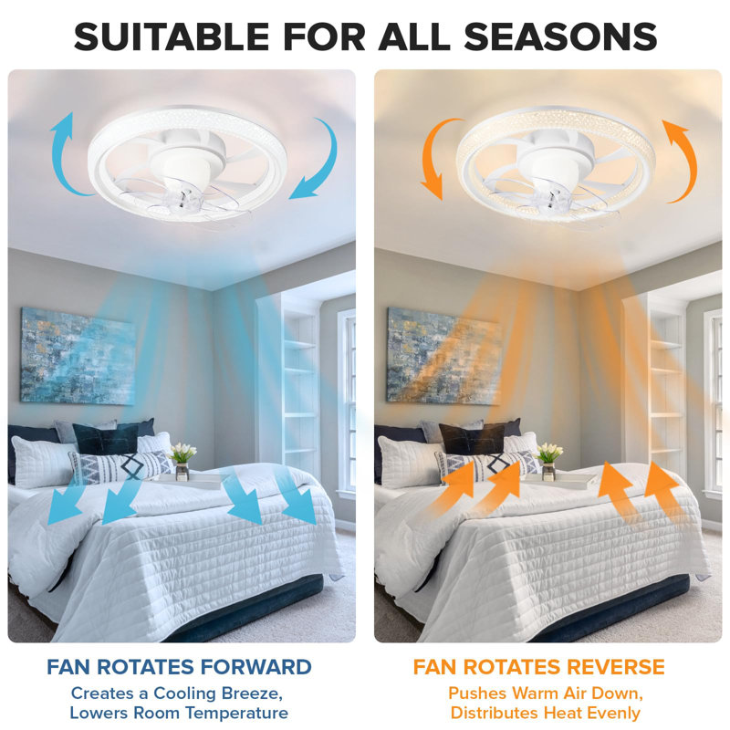 Ceiling Fan with LED Lights