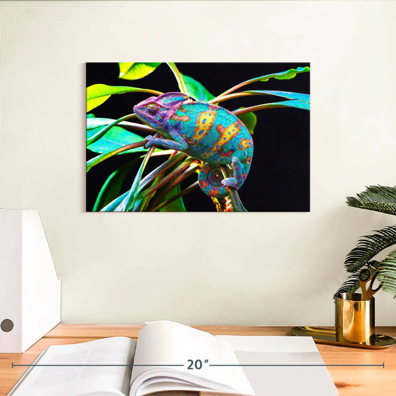Brampt Chameleon, 8" H x 12" W